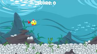 The Happiest Fish