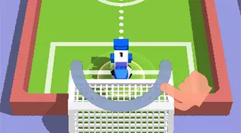 Flip Goal