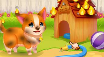 Funny Rescue Pet