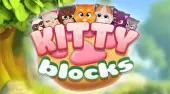 Kitty Blocks