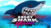 Angry Shark Miami