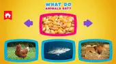 What Do Animals Eat