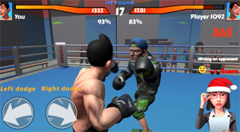 Boxing Fighter | Online hra zdarma | Superhry.cz