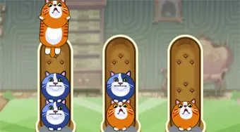 Cat Sorter Puzzle