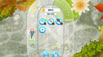Koi Fish Pond