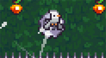 Birdmo