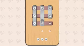 Nuts And Bolts Screw Puzzle